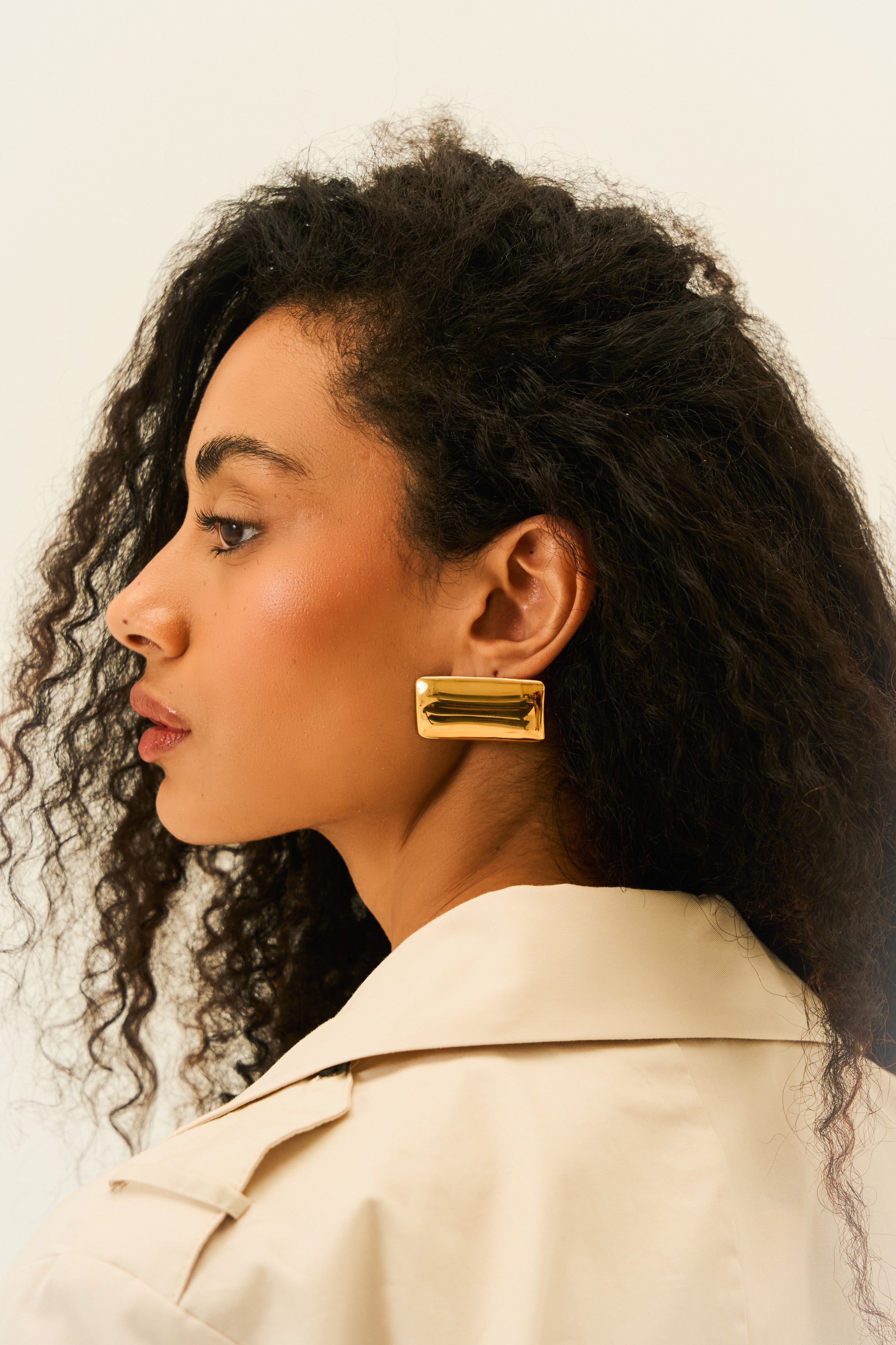 Claire Sculpt Earrings in 18K Gold Plated