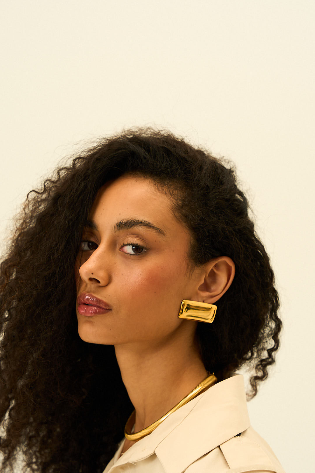 Claire Sculpt Earrings in 18K Gold Plated