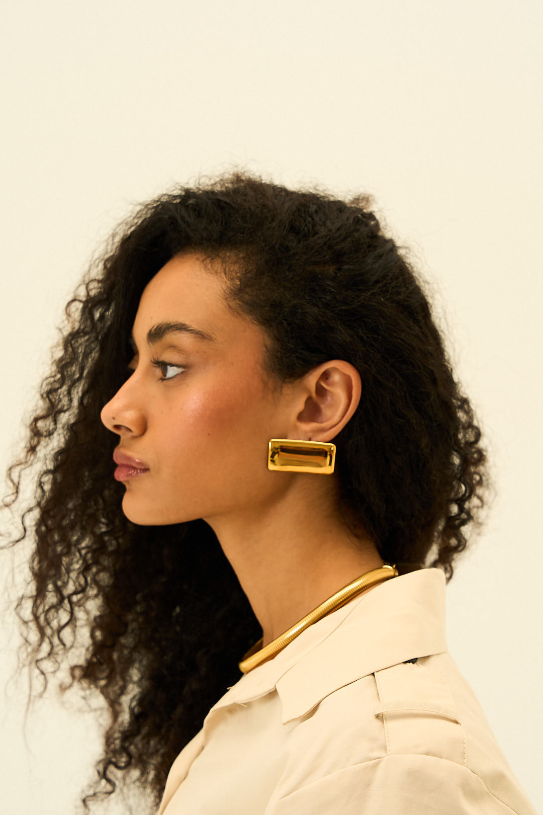 Claire Sculpt Earrings in 18K Gold Plated